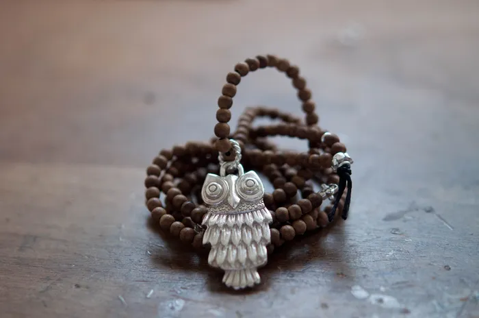 Vivien Frank Owl Necklace Necklaces